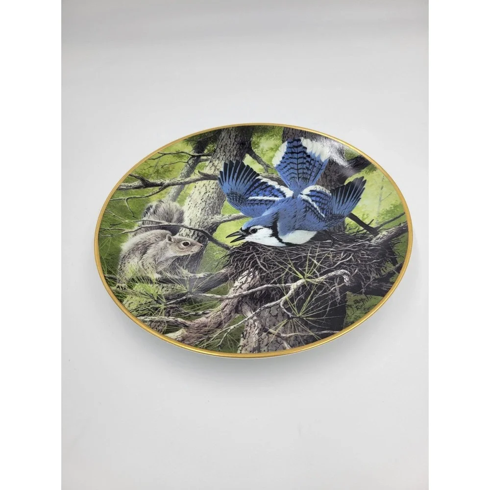 AUDUBON rudisill bluejay